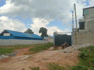 Karatina Karindundu 50/100 - main view