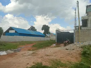 Karatina Karindundu 50/100 