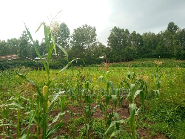 50*100 Serviced Plot's in Ngong Ololua Area - thumbnail 3