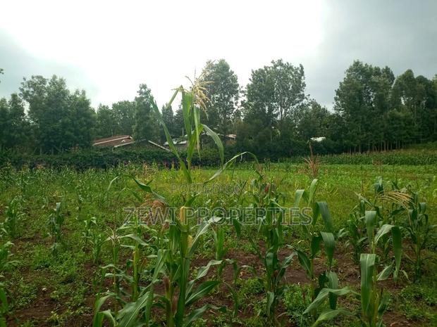50*100 Serviced Plot's in Ngong Ololua Area - thumbnail 4