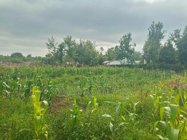 50*100 Serviced Plot's in Ngong Ololua Area - thumbnail 5