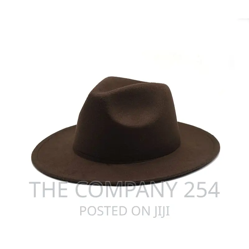 Autumn Winter Womens Felt Hat Fedoras Big Brim Hats .