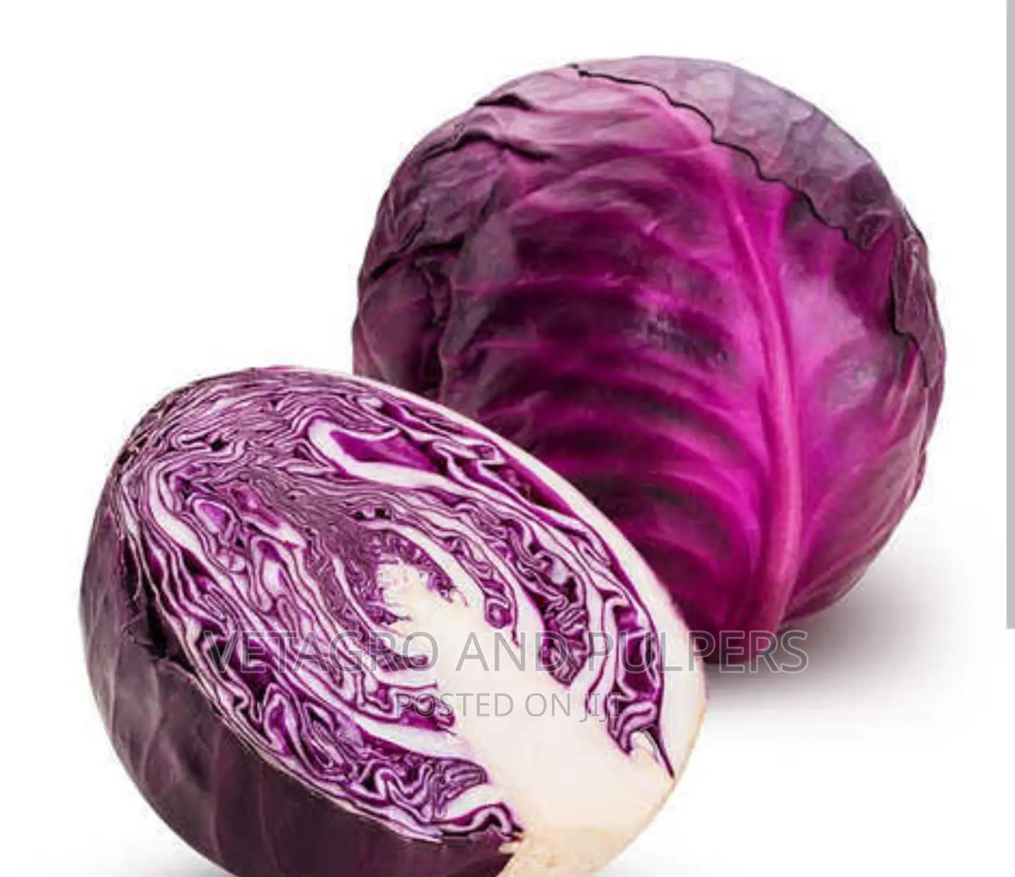 Cabbage Ruby Queen F1 Hybrid Seeds