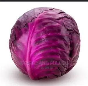 Cabbage Ruby Queen F1 Hybrid Seeds