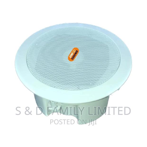 6 Inch Ceiling Speaker With Bluetooth