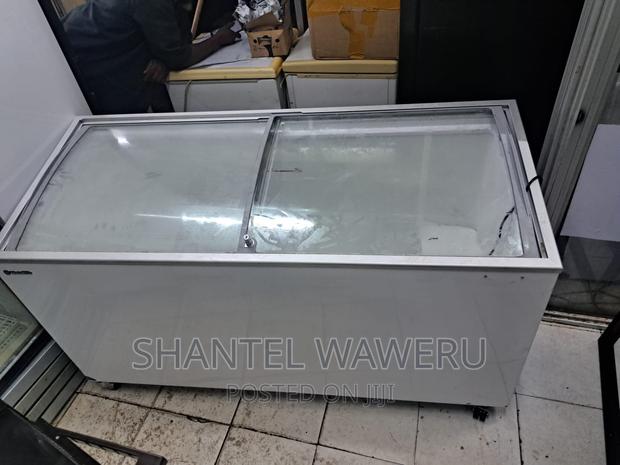 Display Freezer 500 Litres - main view