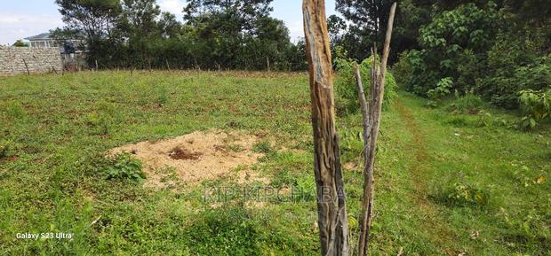 Prime Commercial Plot for Sale in Kimumu Perisin Eldoret - thumbnail 8
