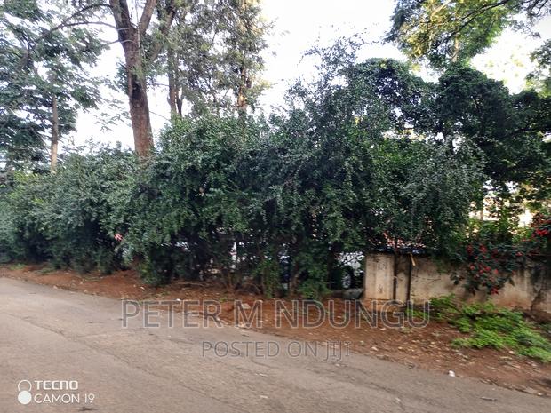 Prime Plot on Sale, 0.6acres ,Parklands - thumbnail 4