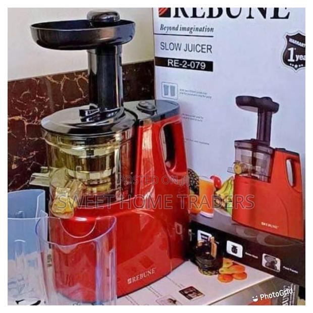 Rebune Slow Juicer With 2 Outlet for Juice Pulp