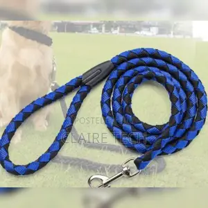 Dog Leash and Harness