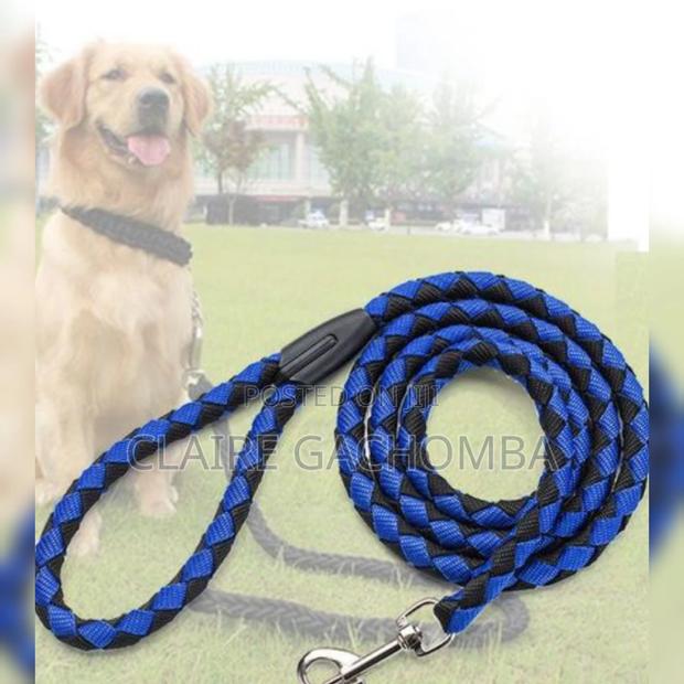 Dog Leash Dog Leash - main view