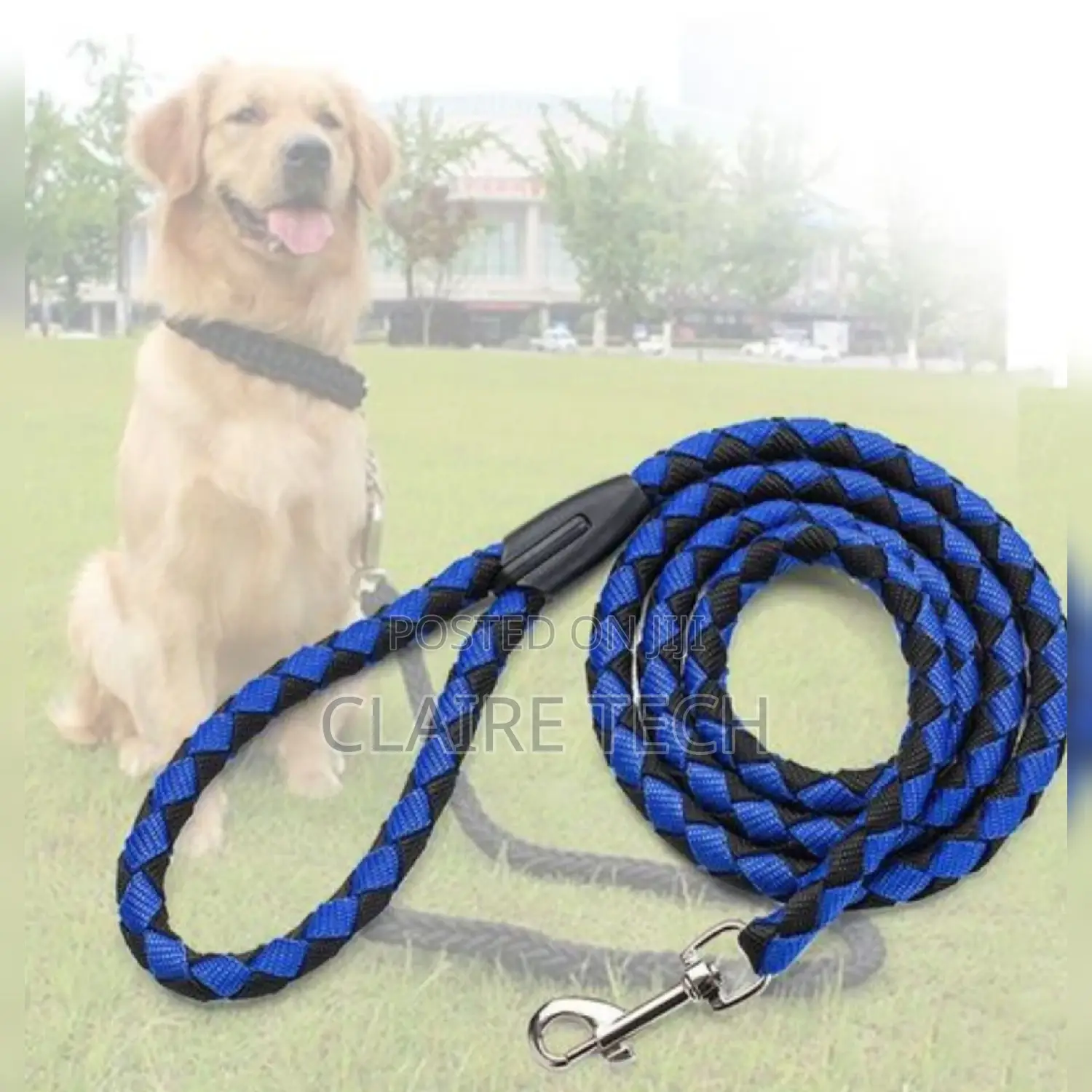 Dog Leash Medium Size