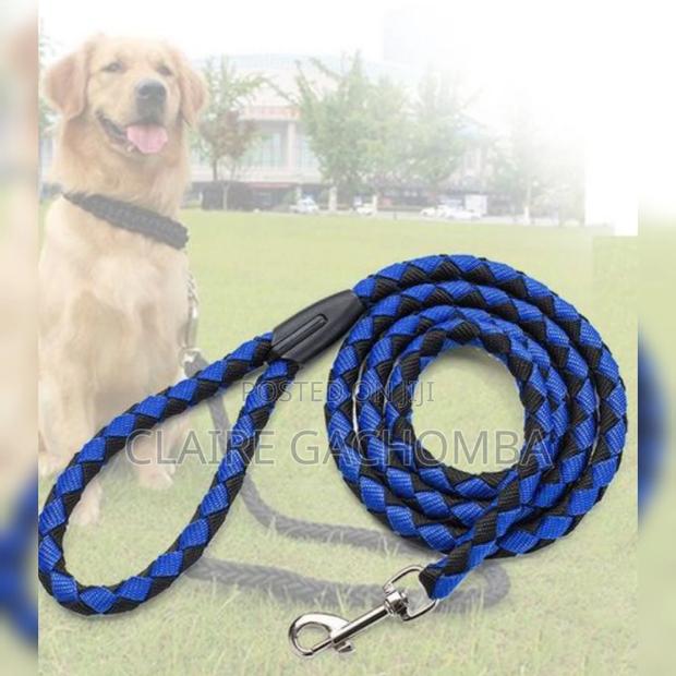 Dog Leash With Harness Medium - main view