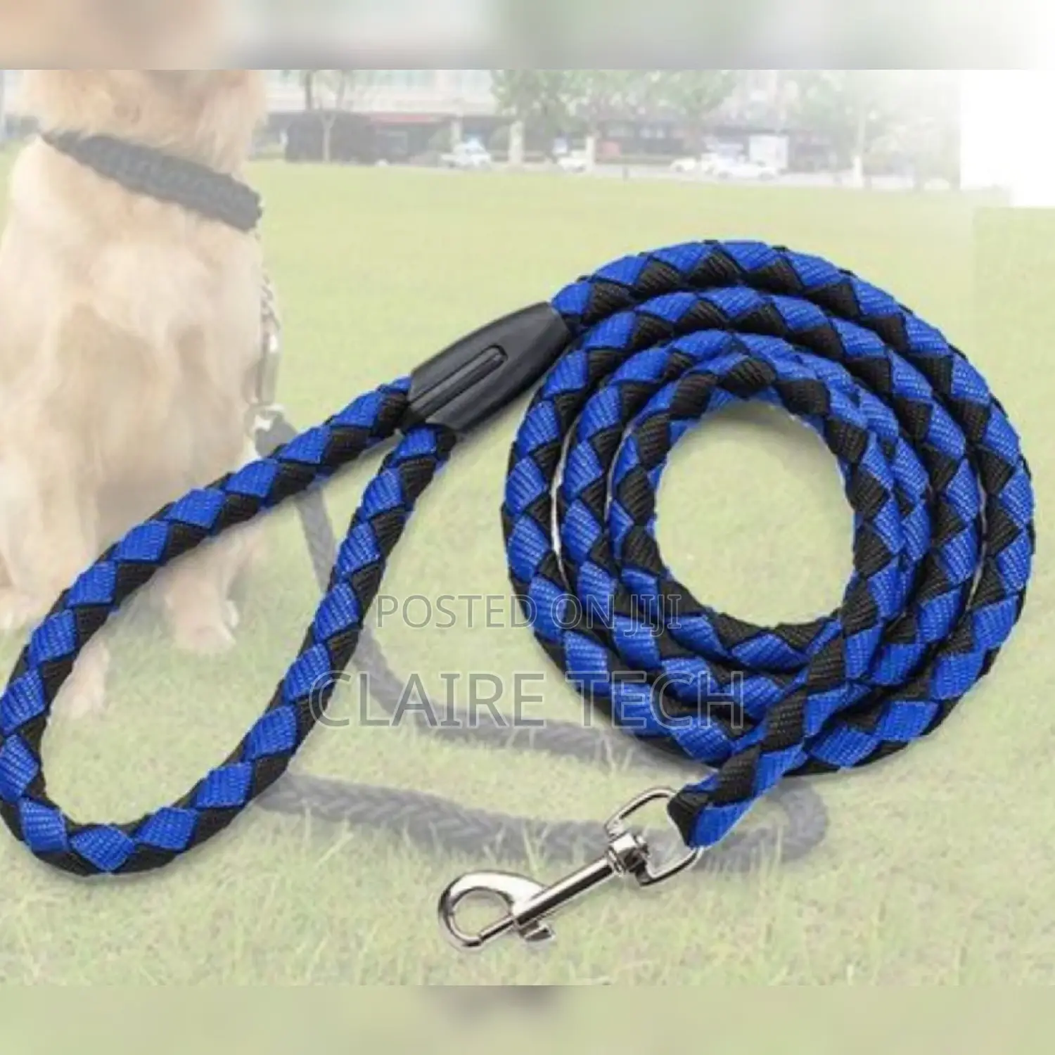 Medium Size Dog Leash