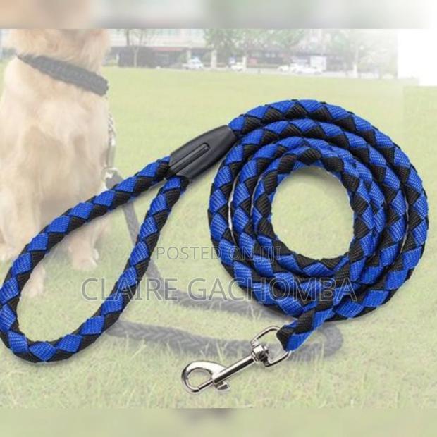 Medium Size Dog Leash - main view