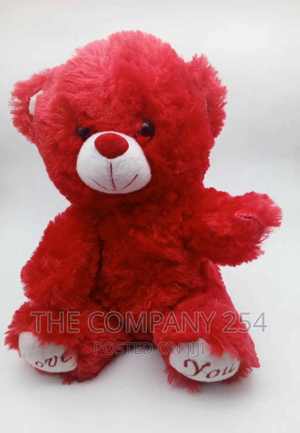 Valentines Teddy Bears 
 Size 25cm
1000/-