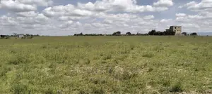 50x100 PLOT FOR SALE- Joska Bridgan