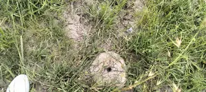 50x100 PLOT FOR SALE- Joska Bridgan