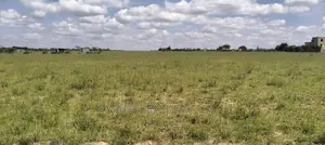 50x100 PLOT FOR SALE- Joska Bridgan