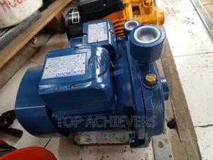 1hp Pedrollo Water Pump/Quality Booster Pump 1hp - main view