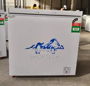 Icecool 169litres Freezer at 27000