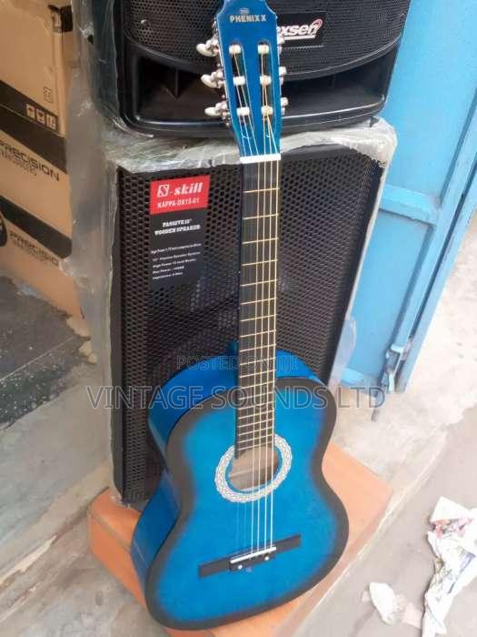 Phoenix Acoustic Box Guitar - main view