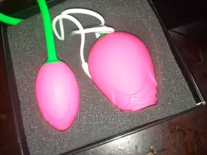 Two-in-One Rose Adult Shaped Vibrator/Sucker