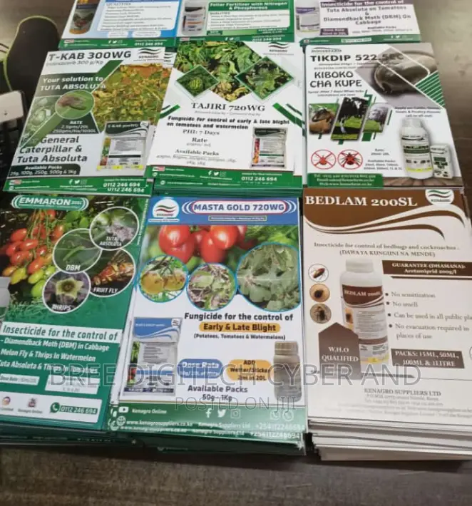 Glossy Paper Printing Services
