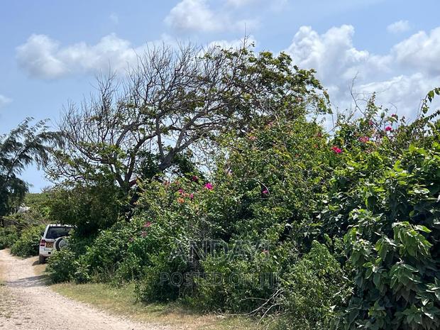 Beach Plots for Sale - Malindi - thumbnail 4