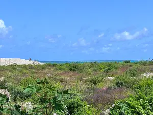 Beach Plots for Sale - Malindi