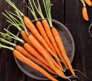 Carrot Nantes Planting Seeds.