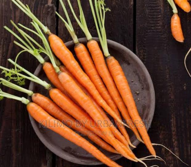 Carrot Nantes Planting Seeds. - thumbnail 3