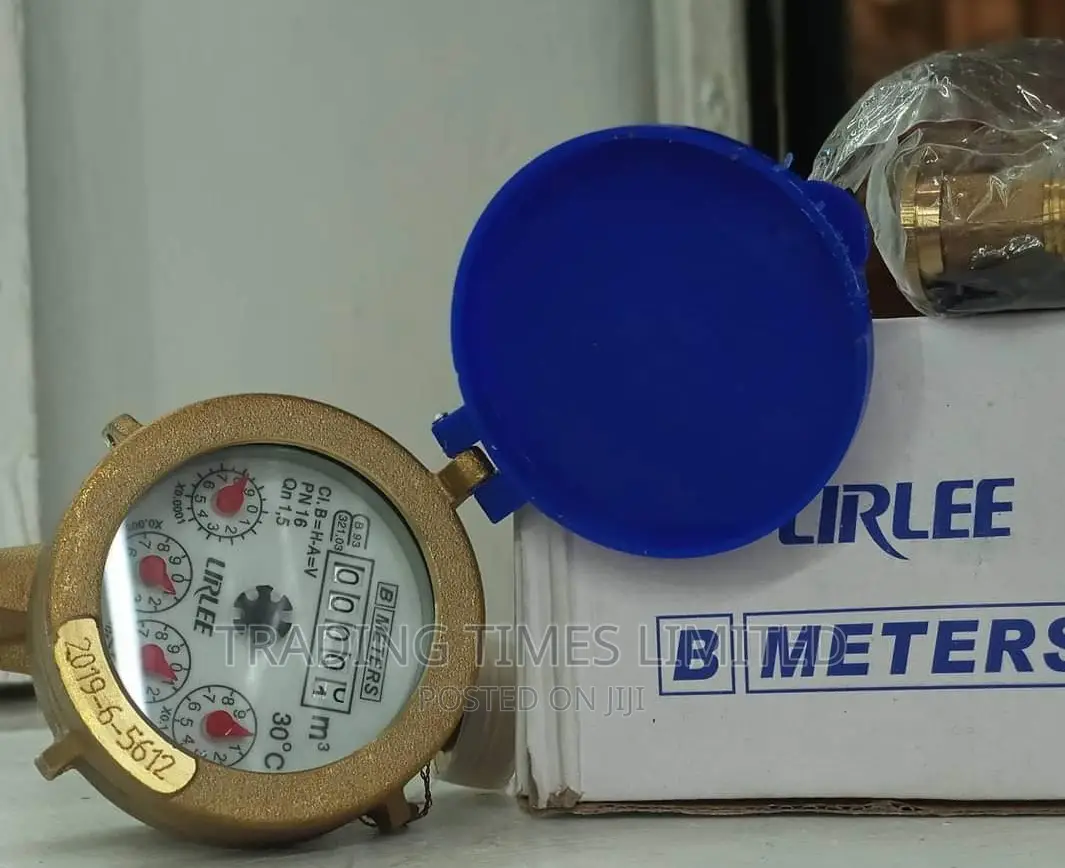 Water Meter (Lirlee)