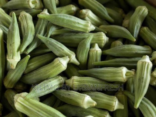 Okra Planting Seeds. - main view
