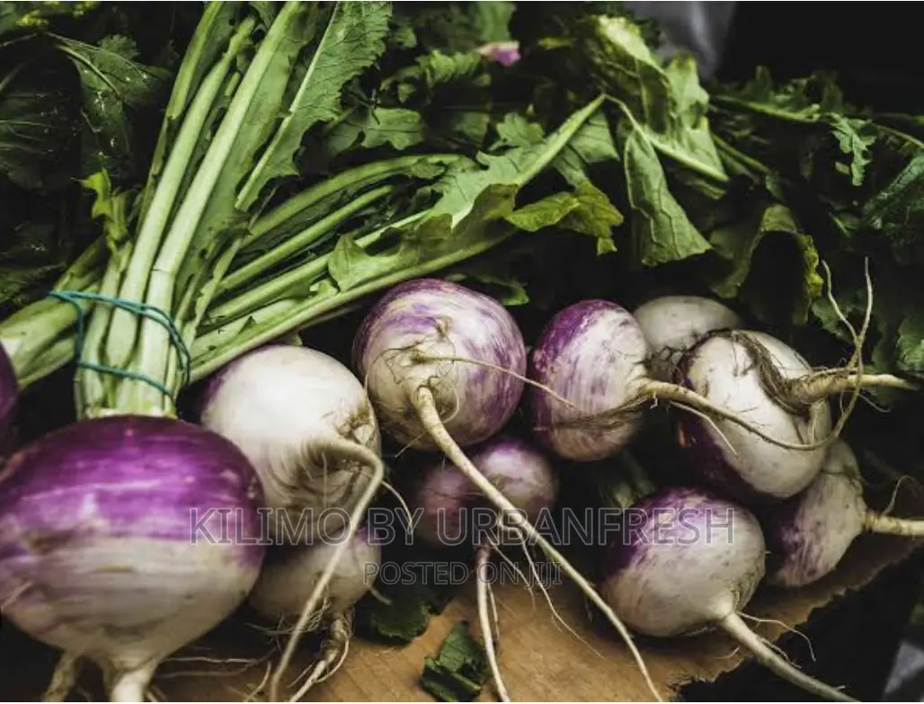 Turnip Planting Seeds