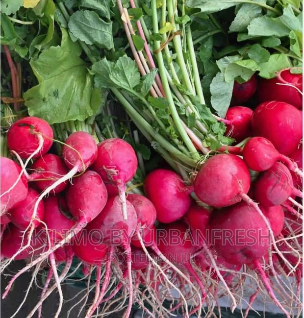 Radish Planting Seeds. - main view
