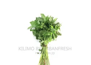 Traditional Vegetables Seeds : Mito, Sagaa, Managu, Terere