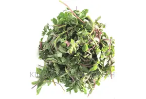 Traditional Vegetables Seeds : Mito, Sagaa, Managu, Terere