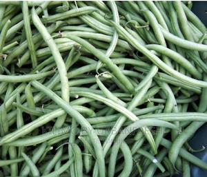 French Bean Planting Seeds - thumbnail 2