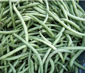 French Bean Planting Seeds