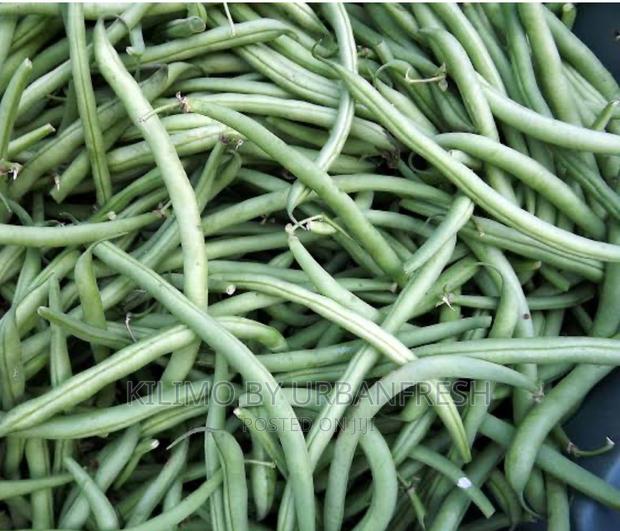 French Bean Planting Seeds - main view