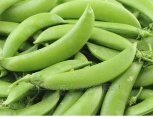 Sugarsnap Planting Seeds - thumbnail 2