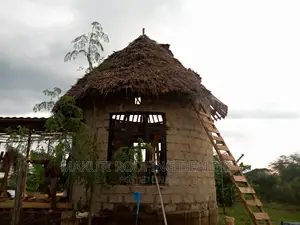 Exterior Designs and Makuti Roofing Construction Dealers