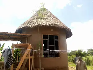 Exterior Designs and Makuti Roofing Construction Dealers