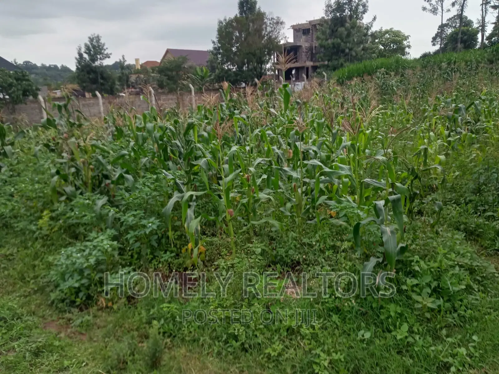Prime Residential Quater (1⁄4) Acre Plot in Kerarapon, Ngong
