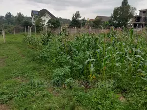 Prime Residential Quater (1⁄4) Acre Plot in Kerarapon, Ngong