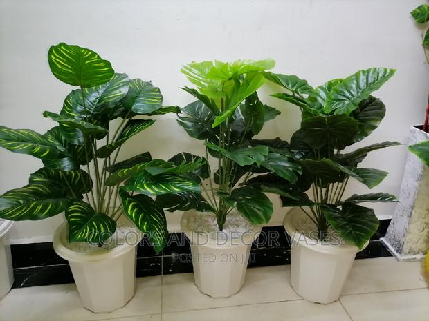 Plant+ Plastic Vase + White Pebble Stones - main view