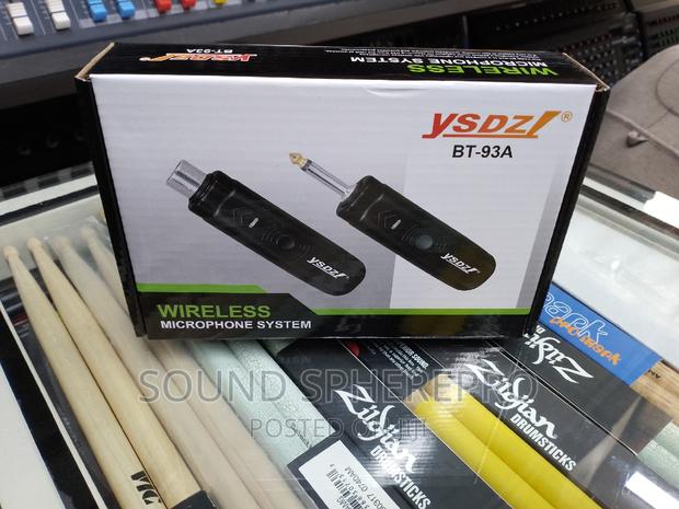 BT-93A Wireless Microphone System - main view