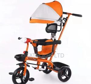 Kids Push Tricycle With Canopy - main view