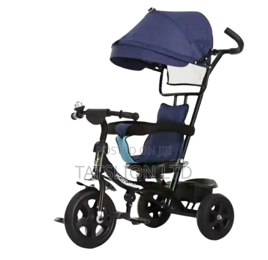 Kids Push Tricycle With Canopy Blue